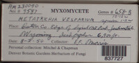 Image Associated With the Occurence
